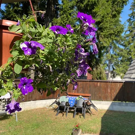 Dom wakacyjny Vikendica Abasa *